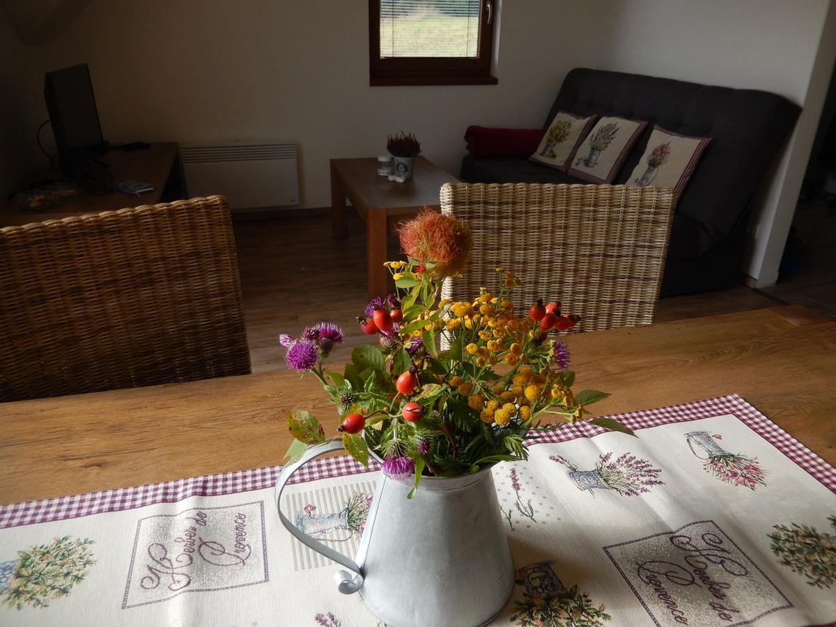 Horske Apartmany Bily Vlk Vaclavov u Bruntalu ภายนอก รูปภาพ